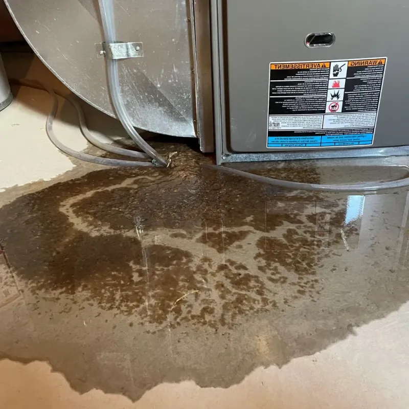 Pipe Burst and Leak Restoration in Harrisville, WV