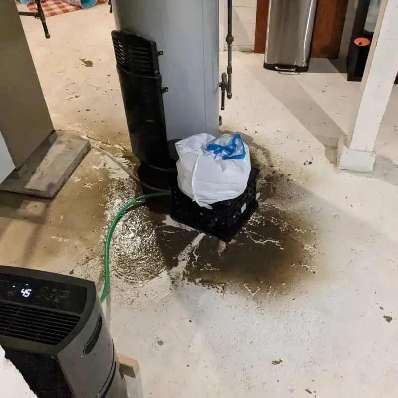 Sewage Backup Cleanup Service in Harrisville, WV